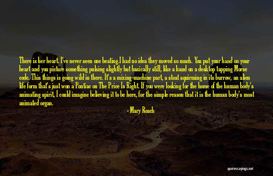 Desktop Quotes By Mary Roach Desktop Quotes By Mary Roach
