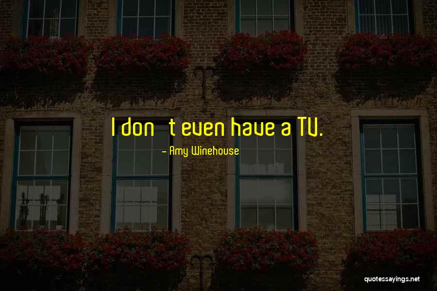 Desmantelada Quotes By Amy Winehouse Desmantelada Quotes By Amy Winehouse