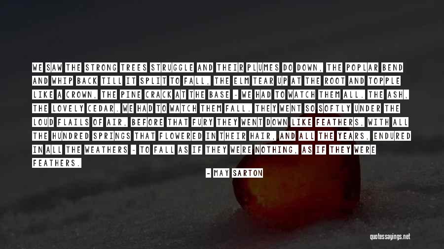 Desmares School Quotes By May Sarton Desmares School Quotes By May Sarton