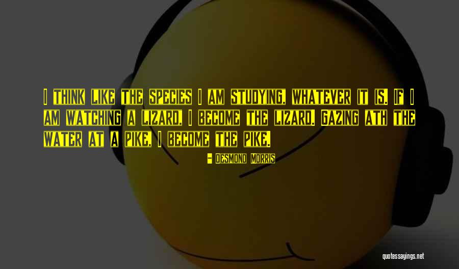 Desmond Quotes By Desmond Morris Desmond Quotes By Desmond Morris
