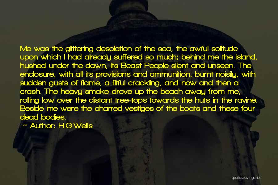 Desolation Quotes By H.G.Wells