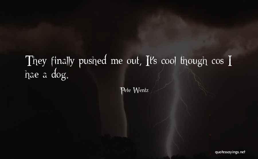 Desordenada En Quotes By Pete Wentz Desordenada En Quotes By Pete Wentz