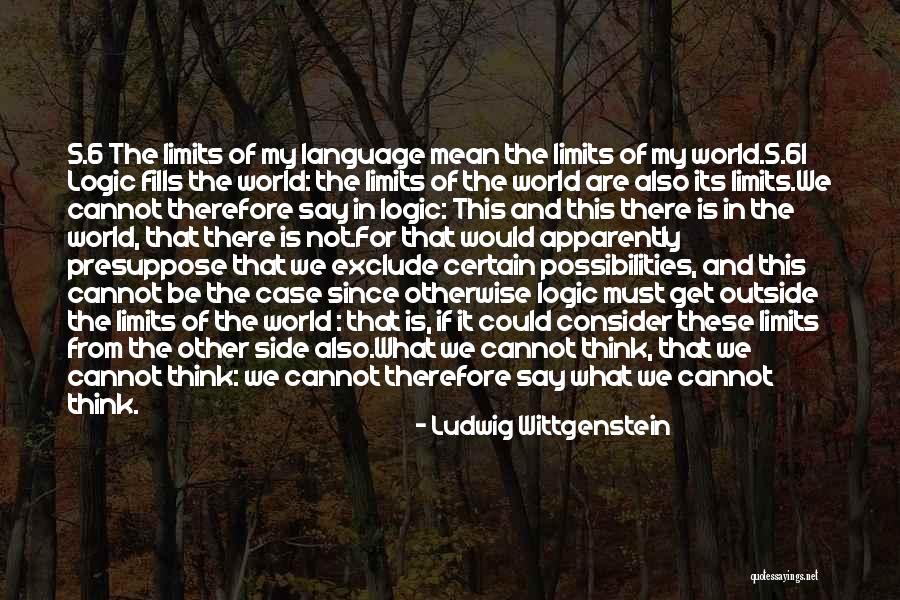 Despagne Biface Quotes By Ludwig Wittgenstein Despagne Biface Quotes By Ludwig Wittgenstein