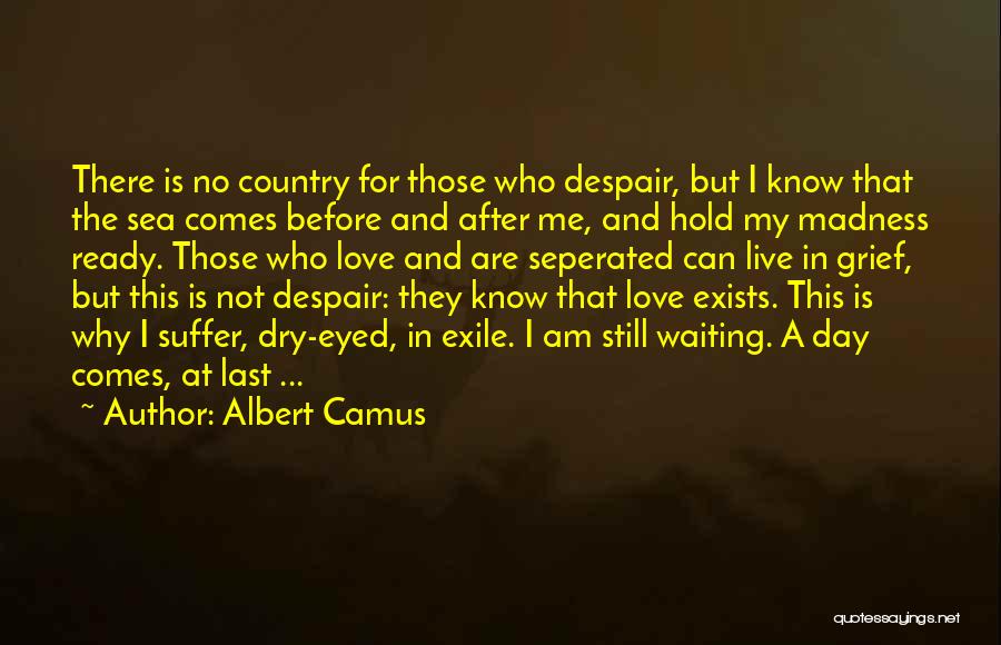 Despair Love Quotes By Albert Camus