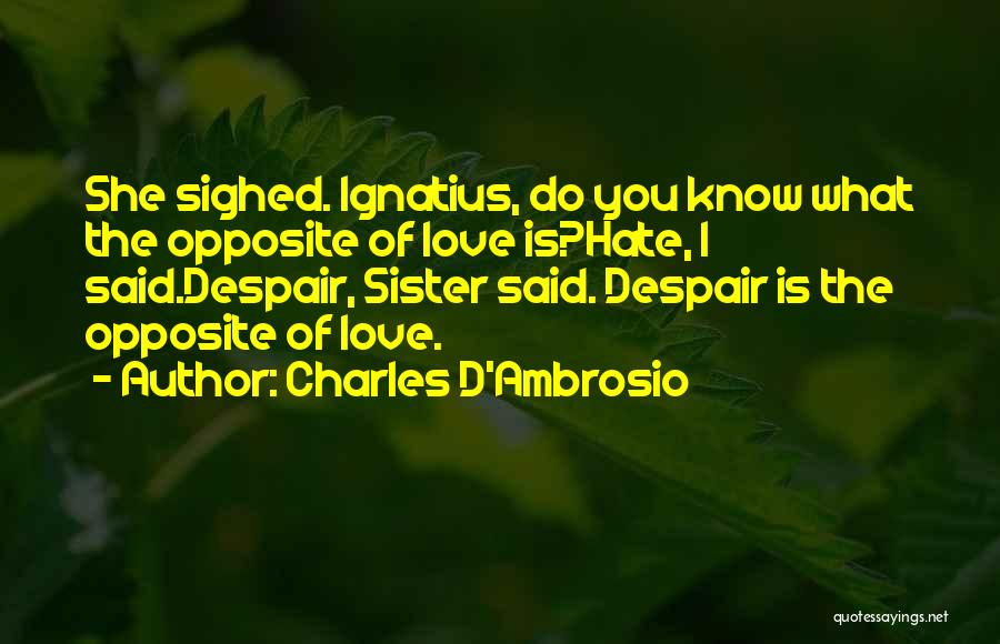 Despair Love Quotes By Charles D'Ambrosio