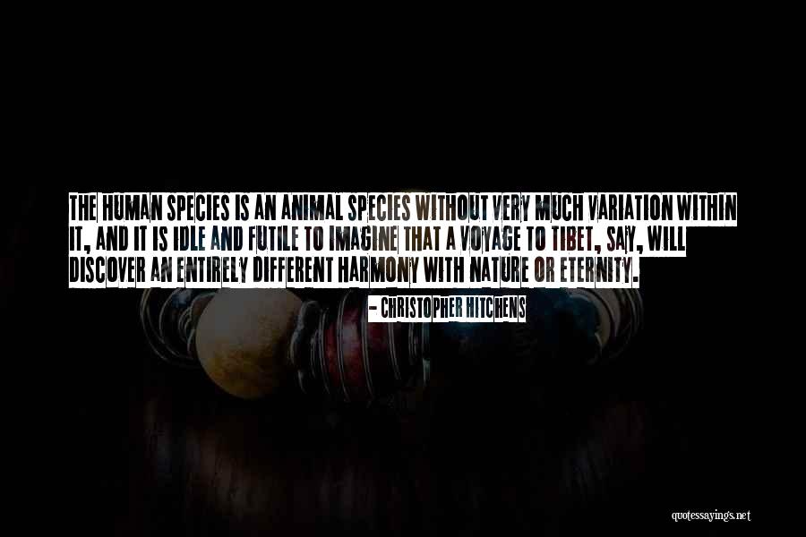 Despairs Opposite Quotes By Christopher Hitchens Despairs Opposite Quotes By Christopher Hitchens