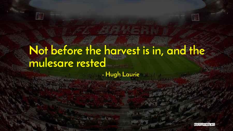 Despard Wall Quotes By Hugh Laurie Despard Wall Quotes By Hugh Laurie