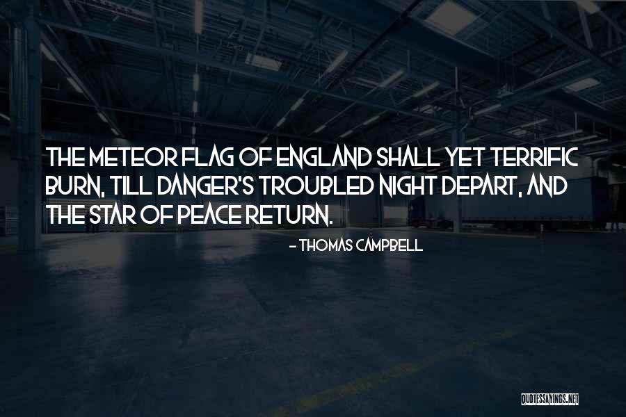 Despedidas Quotes By Thomas Campbell