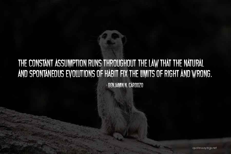 Despejado Sinonimo Quotes By Benjamin N. Cardozo Despejado Sinonimo Quotes By Benjamin N. Cardozo