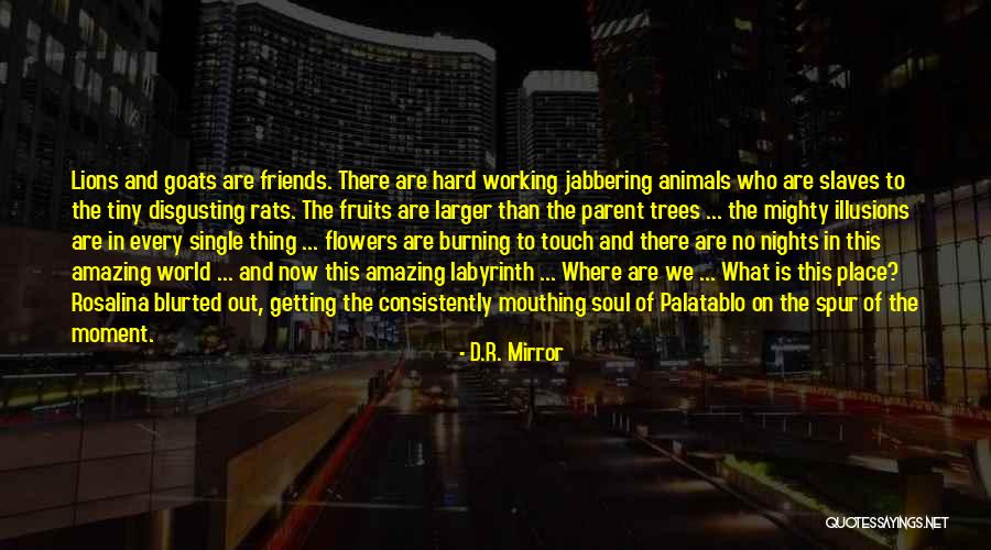 Desperate Scanners Quotes By D.R. Mirror Desperate Scanners Quotes By D.R. Mirror