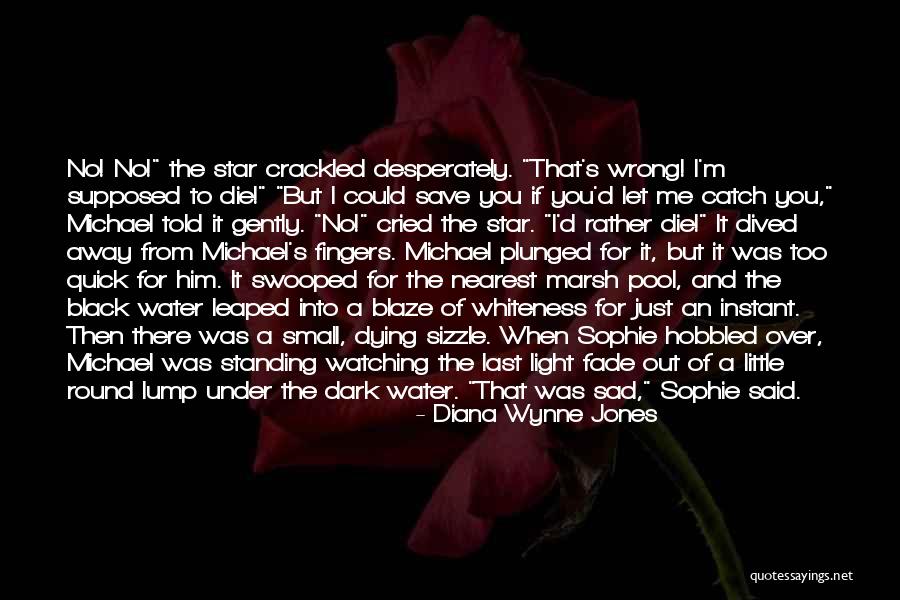 Desperately Sad Quotes By Diana Wynne Jones Desperately Sad Quotes By Diana Wynne Jones
