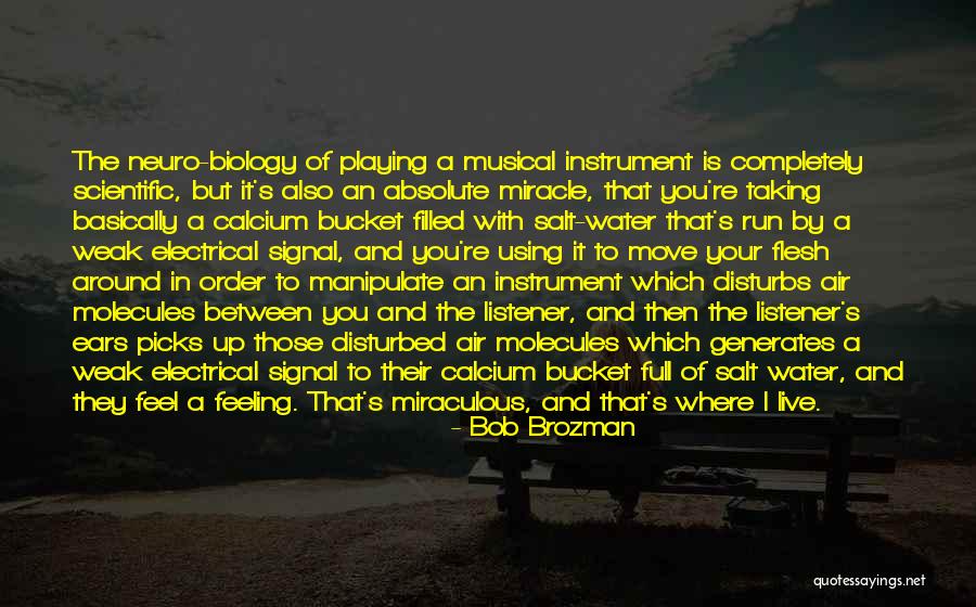 Despiadado Quotes By Bob Brozman Despiadado Quotes By Bob Brozman