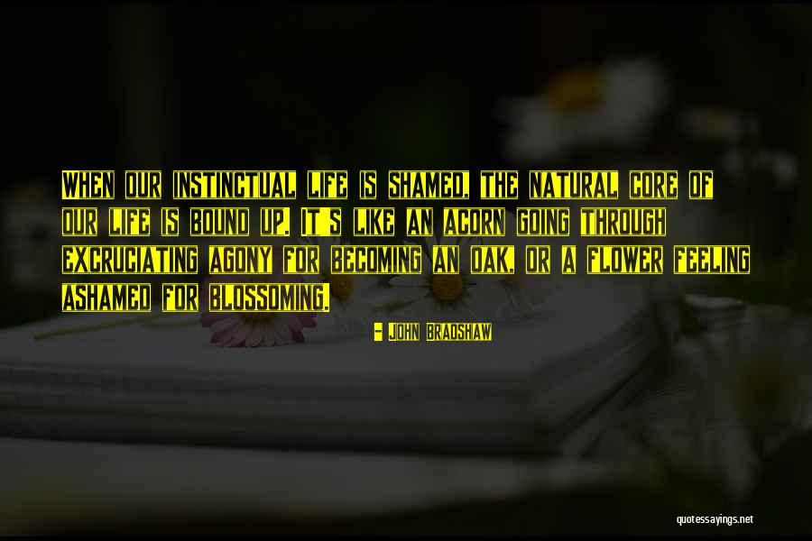 Despiadados Quotes By John Bradshaw Despiadados Quotes By John Bradshaw