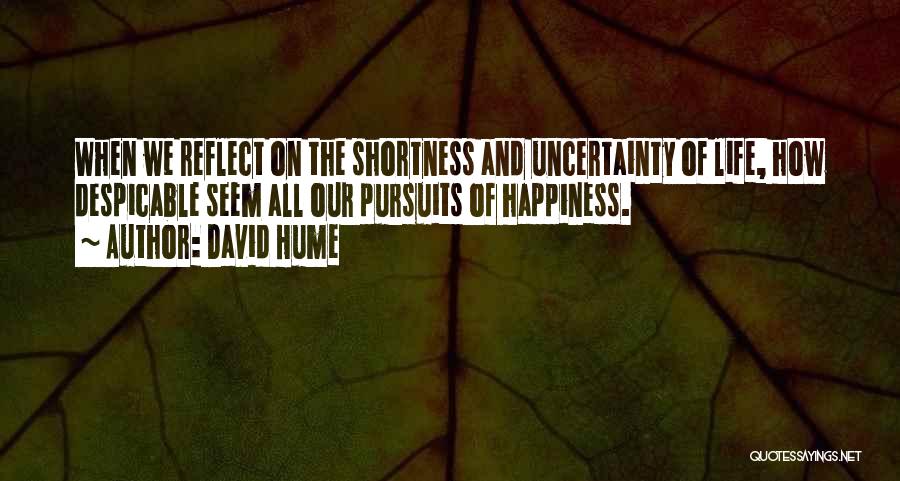 Despicable Me 2 Quotes By David Hume