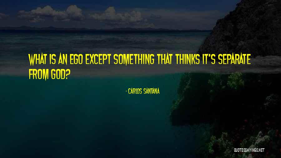 Despicable Person Quotes By Carlos Santana Despicable Person Quotes By Carlos Santana