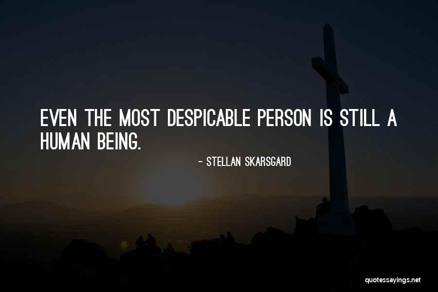 Despicable Person Quotes By Stellan Skarsgard