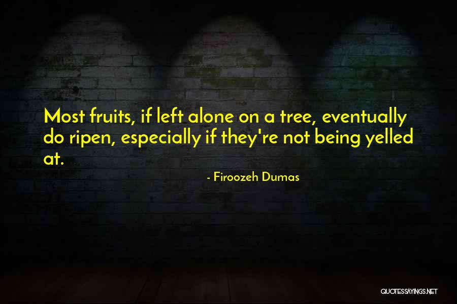 Despide A Tu Quotes By Firoozeh Dumas Despide A Tu Quotes By Firoozeh Dumas