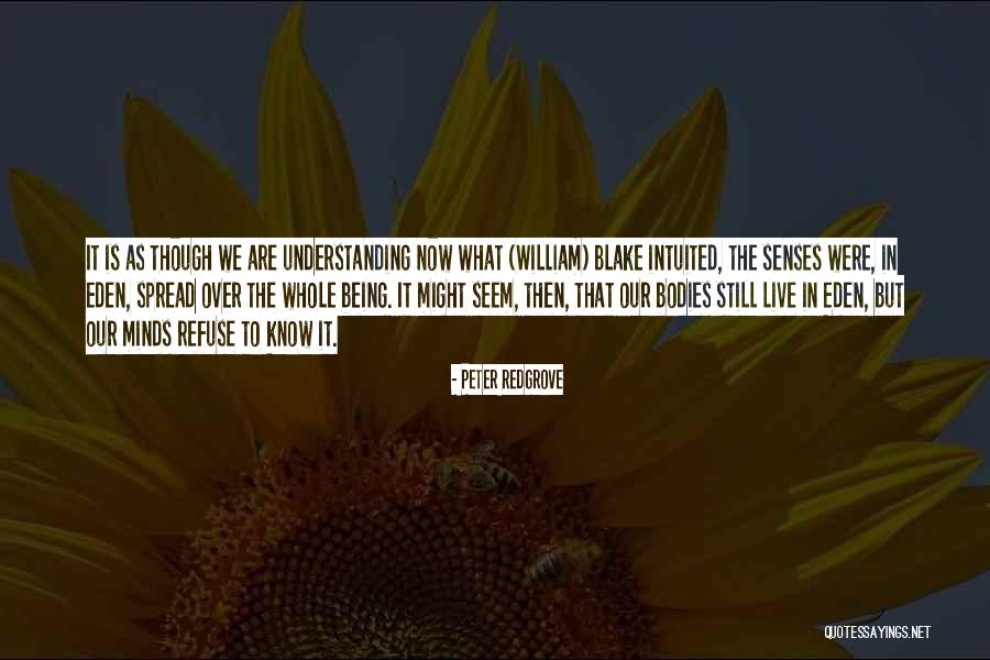 Despidiendo A Mama Quotes By Peter Redgrove Despidiendo A Mama Quotes By Peter Redgrove