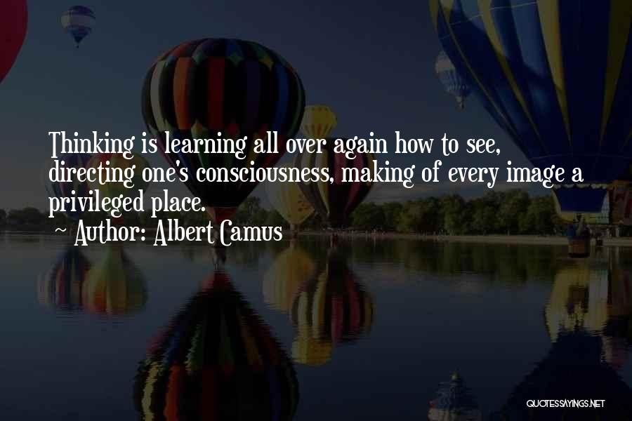 Despina Mirou Quotes By Albert Camus