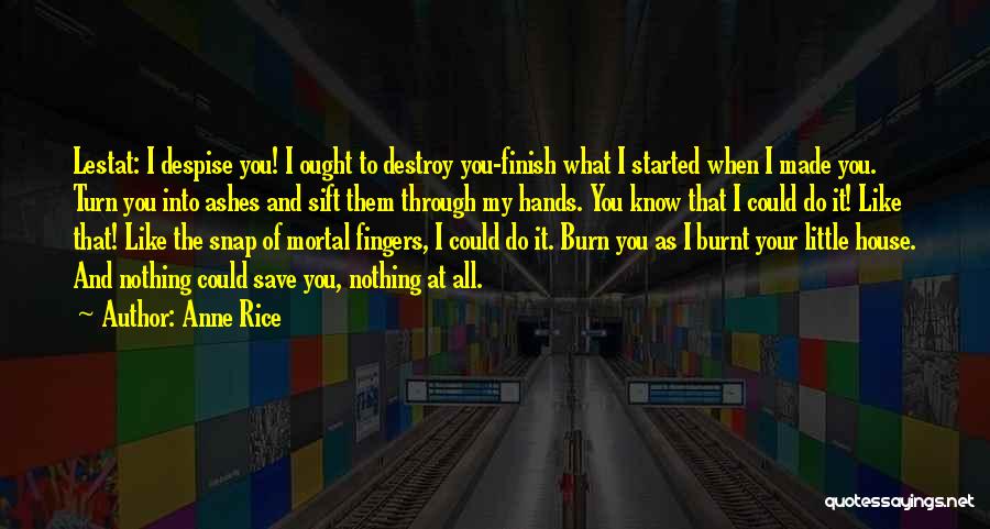 Despise Quotes By Anne Rice