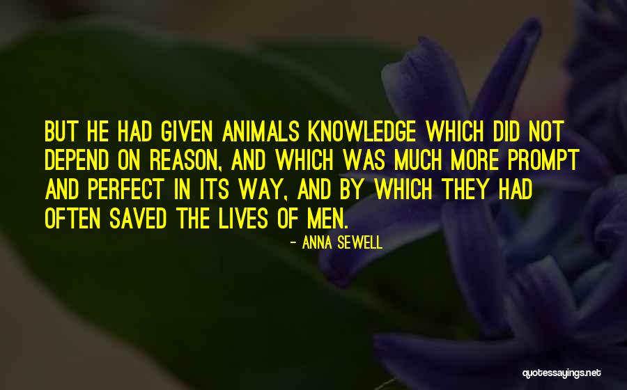 Despiser Define Quotes By Anna Sewell Despiser Define Quotes By Anna Sewell
