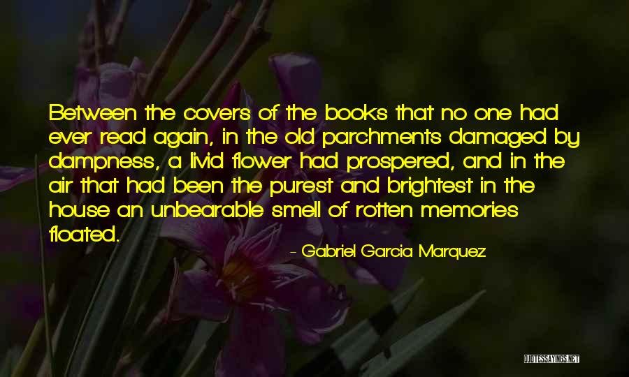 Despiser Define Quotes By Gabriel Garcia Marquez Despiser Define Quotes By Gabriel Garcia Marquez