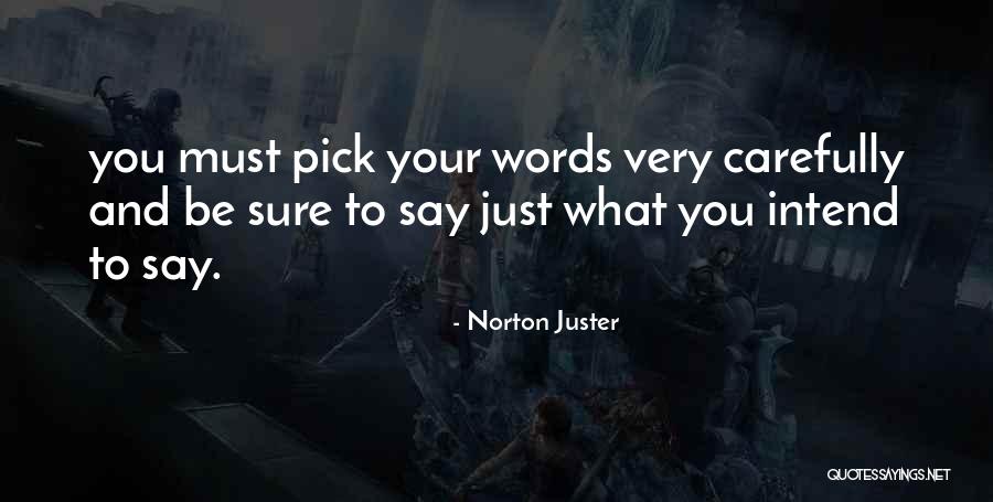 Despises Synonyms Quotes By Norton Juster Despises Synonyms Quotes By Norton Juster