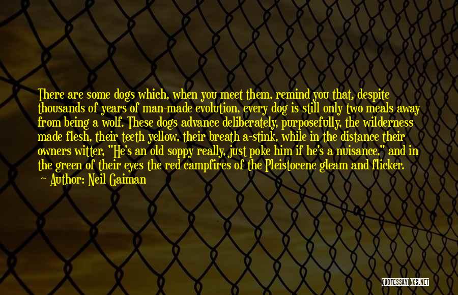 Despite Distance Quotes By Neil Gaiman