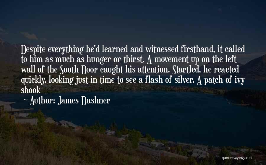 Despite Of Everything Quotes By James Dashner