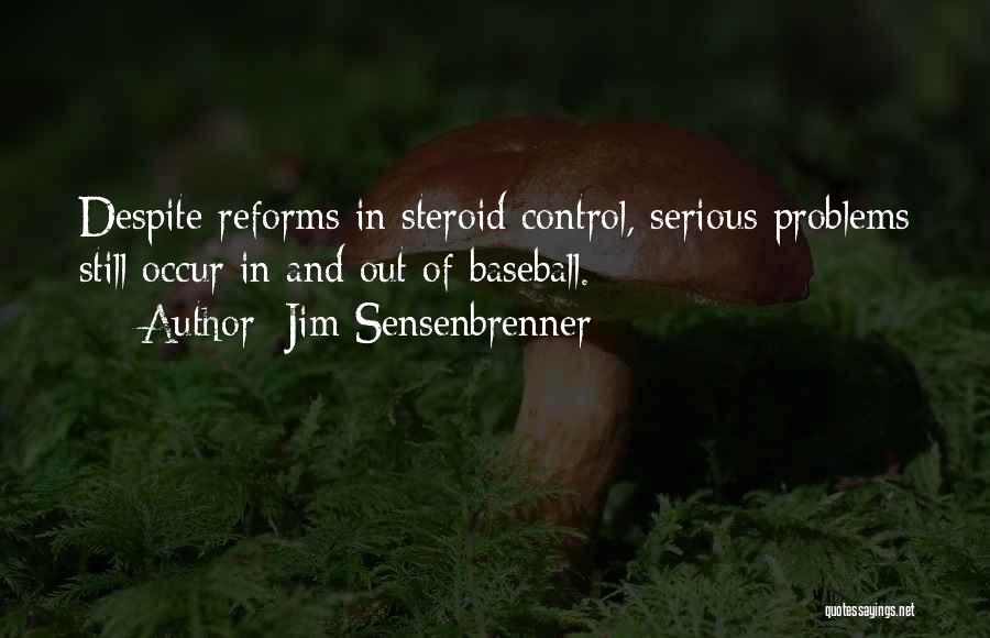 Despite Of Problems Quotes By Jim Sensenbrenner