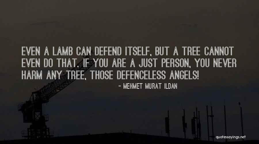 Desplegado Contra Quotes By Mehmet Murat Ildan Desplegado Contra Quotes By Mehmet Murat Ildan