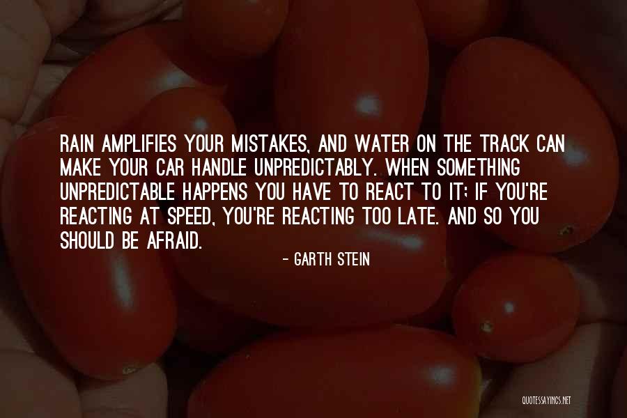Despoiler Quotes By Garth Stein Despoiler Quotes By Garth Stein
