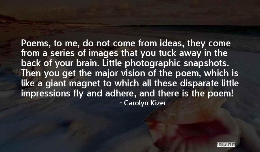 Despojar Quotes By Carolyn Kizer Despojar Quotes By Carolyn Kizer