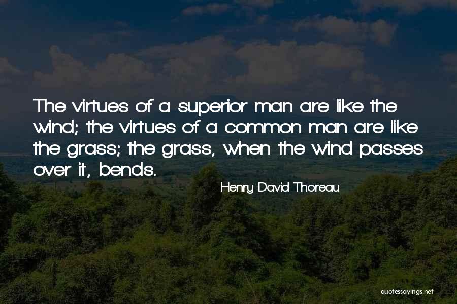 Despota Definicion Quotes By Henry David Thoreau Despota Definicion Quotes By Henry David Thoreau