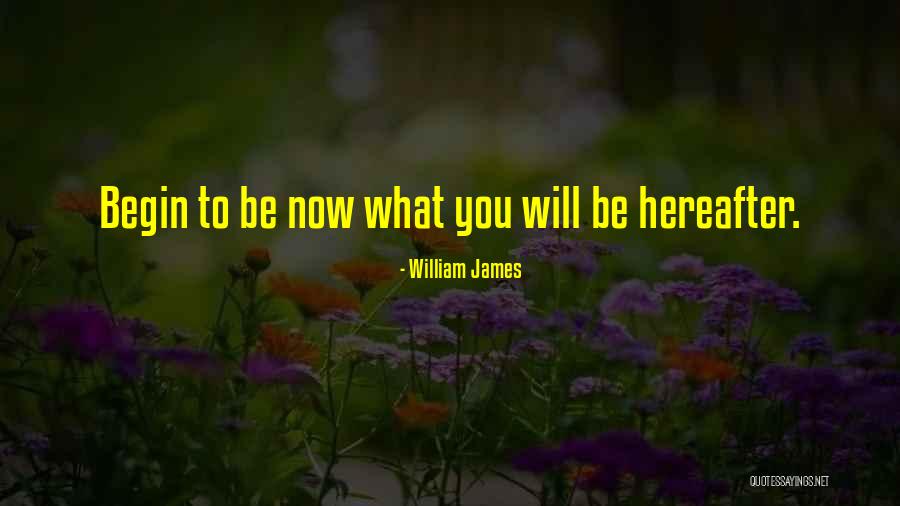 Despreciable Quotes By William James Despreciable Quotes By William James