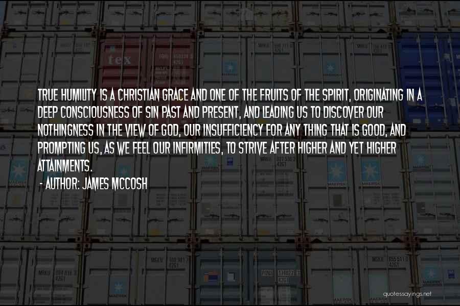 Despresurizado Quotes By James McCosh