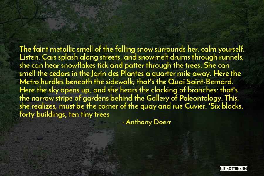 Des'ree Quotes By Anthony Doerr Des'ree Quotes By Anthony Doerr