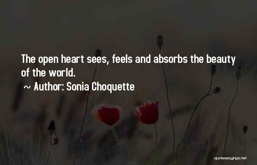 Dessas Song Quotes By Sonia Choquette
