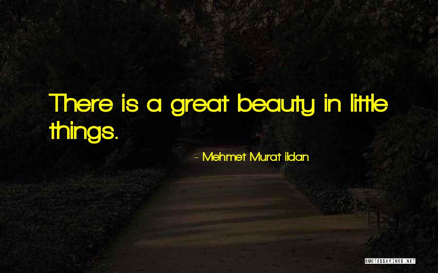 Dessay Chen Quotes By Mehmet Murat Ildan Dessay Chen Quotes By Mehmet Murat Ildan