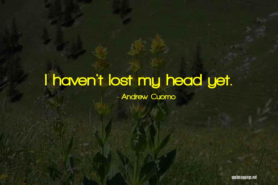 Dessein Guuh Quotes By Andrew Cuomo Dessein Guuh Quotes By Andrew Cuomo
