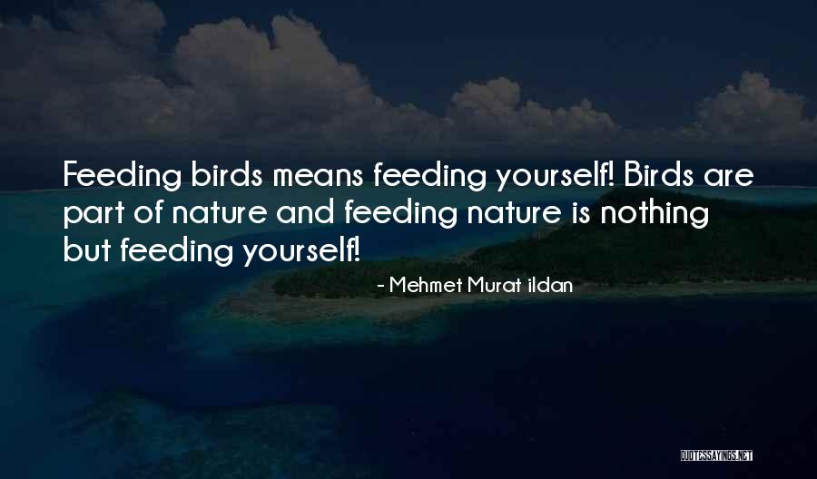 Dessels Quotes By Mehmet Murat Ildan