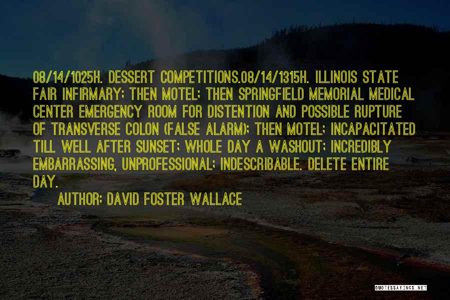 Dessert Quotes By David Foster Wallace