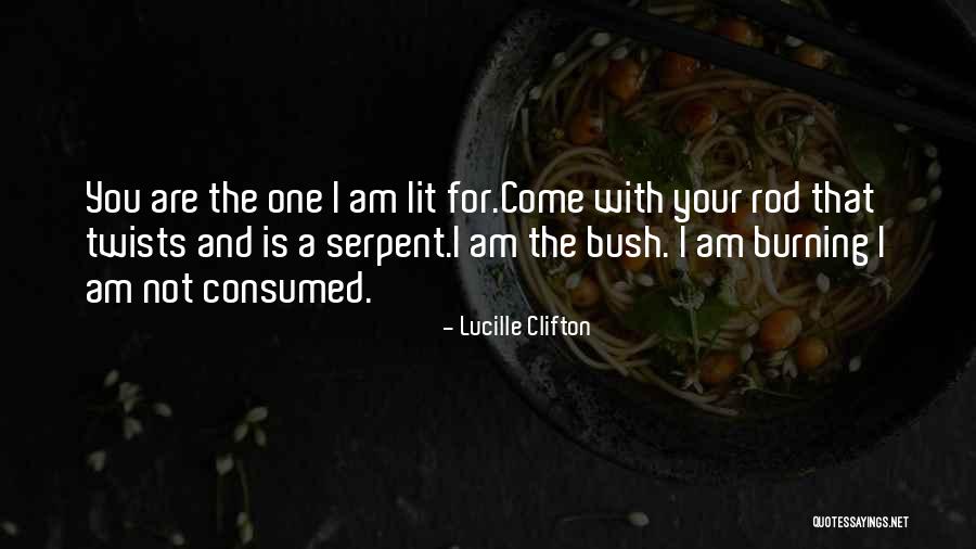 Destiempo Que Quotes By Lucille Clifton Destiempo Que Quotes By Lucille Clifton