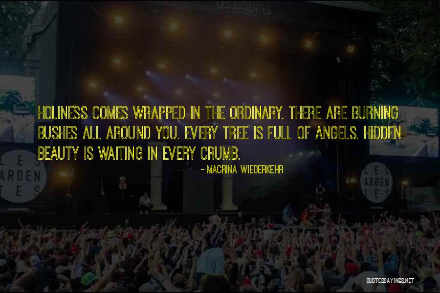 Destinanni Quotes By Macrina Wiederkehr Destinanni Quotes By Macrina Wiederkehr