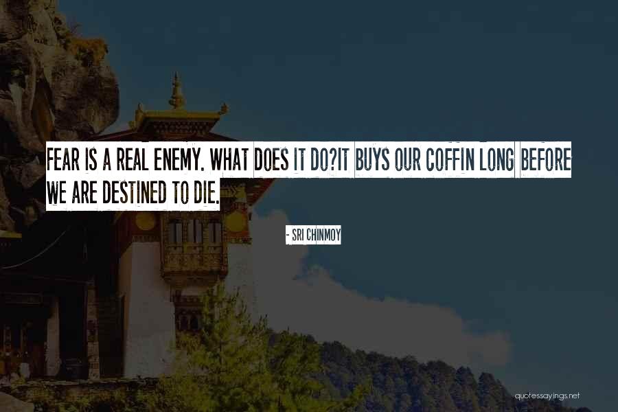 Destined To Die Quotes By Sri Chinmoy