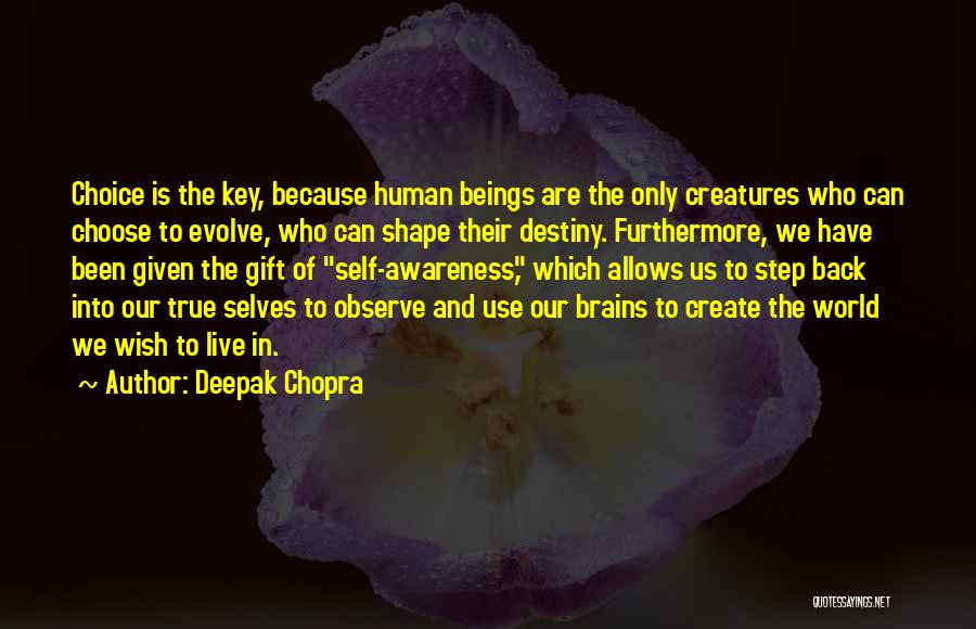 Destiny And Choice Quotes By Deepak Chopra