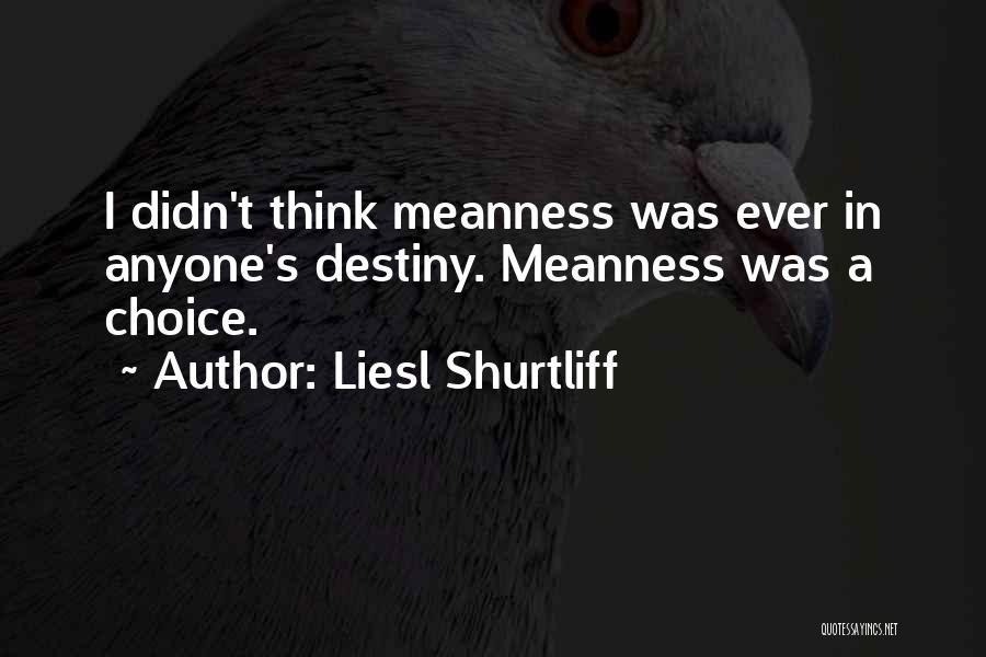 Destiny And Choice Quotes By Liesl Shurtliff