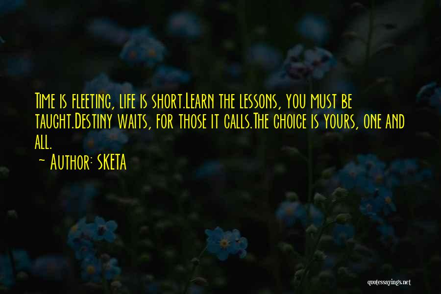 Destiny And Choice Quotes By SKETA