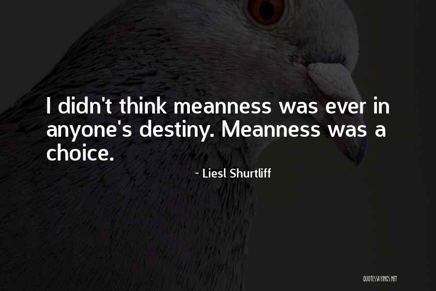 Destiny And Choices Quotes By Liesl Shurtliff