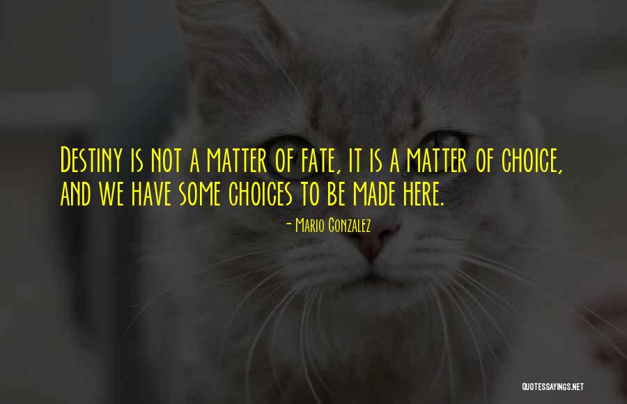 Destiny And Choices Quotes By Mario Gonzalez Destiny And Choices Quotes By Mario Gonzalez
